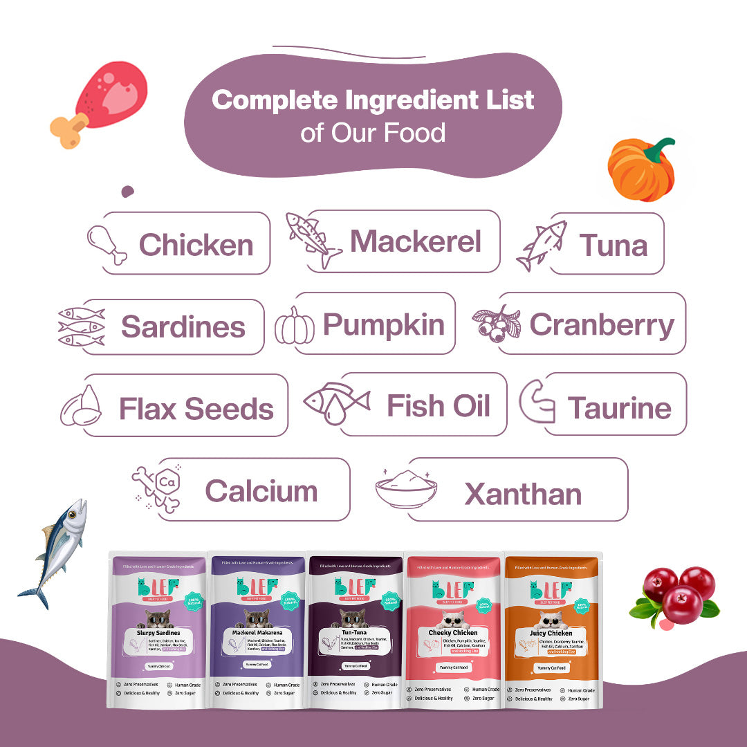 BLEP All Recipes Cat Wet Food Trial Pack | 50g | 10 Pack