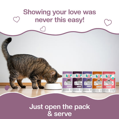 BLEP All Recipes Cat Wet Food Trial Pack | 50g | 10 Pack
