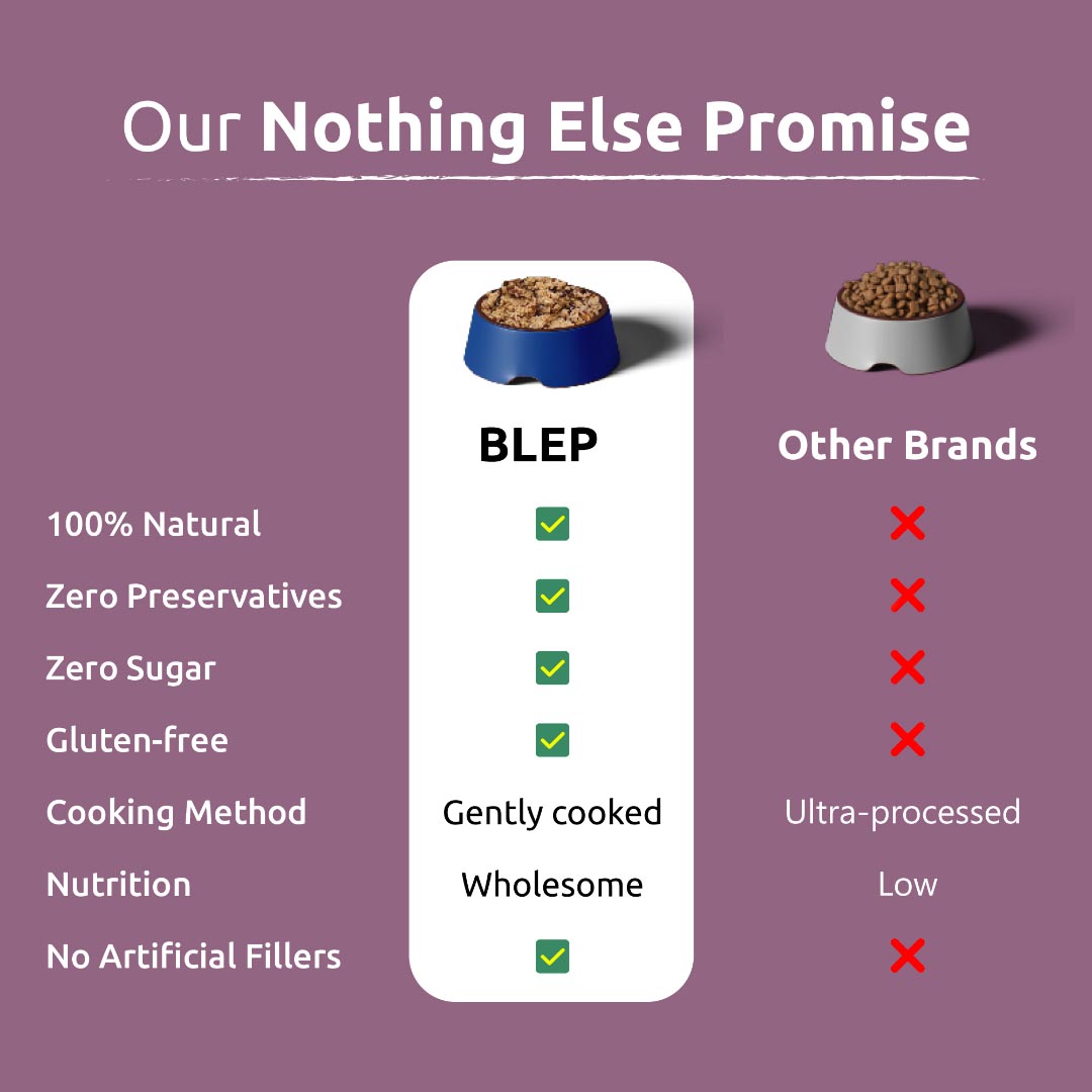 BLEP All Recipes Cat Wet Food Trial Pack | 50g | 5 Pack