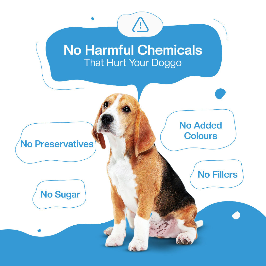 BLEP Chicken Broccoli Dog Wet Food | 100g | 7 Pack