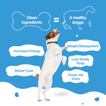 BLEP Chicken Rice Dog Wet food | 100g | 7 Pack