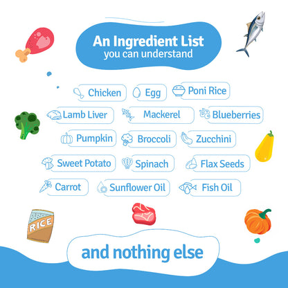 BLEP All recipes Dog Wet Trial Food | 100gm | 6 Pack