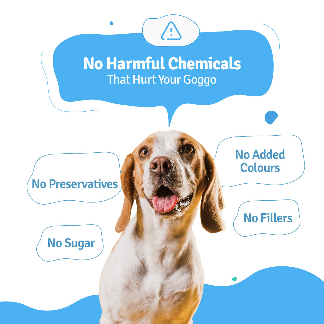 BLEP All recipes Dog Wet Trial Food | 100gm | 6 Pack