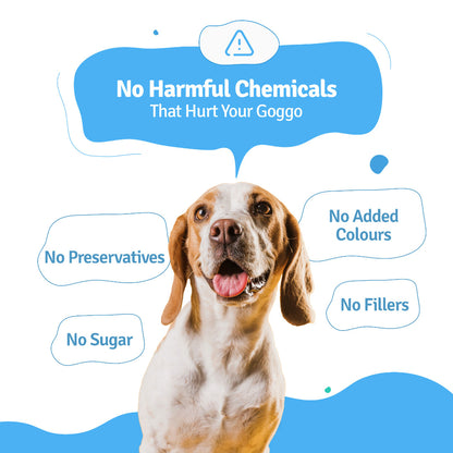 BLEP All recipes Dog Wet Trial Food | 100gm | 6 Pack