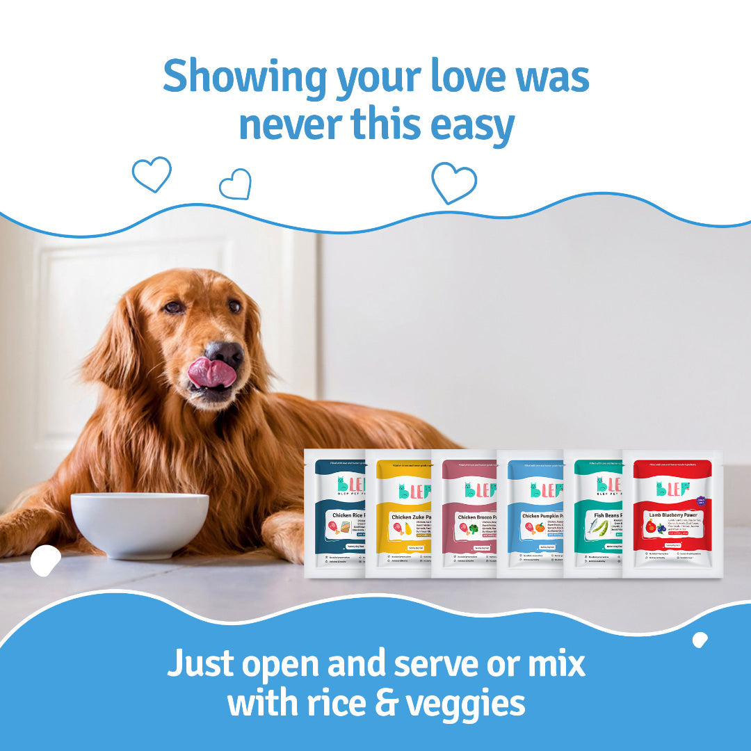 BLEP All recipes Dog Wet Trial Food | 100gm | 6 Pack