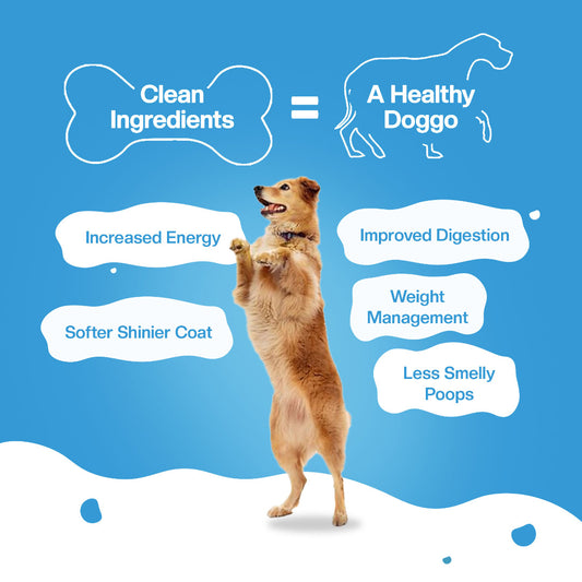 BLEP Pack of All Chicken Recipes of Dog Wet Food | 100g |4 Pack