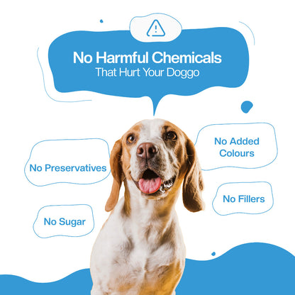 BLEP Pack of All Chicken Recipes of Dog Wet Food | 100g |4 Pack