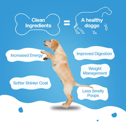 BLEP Chicken Zucchini Dog Wet Food| 100g | 7 Packs