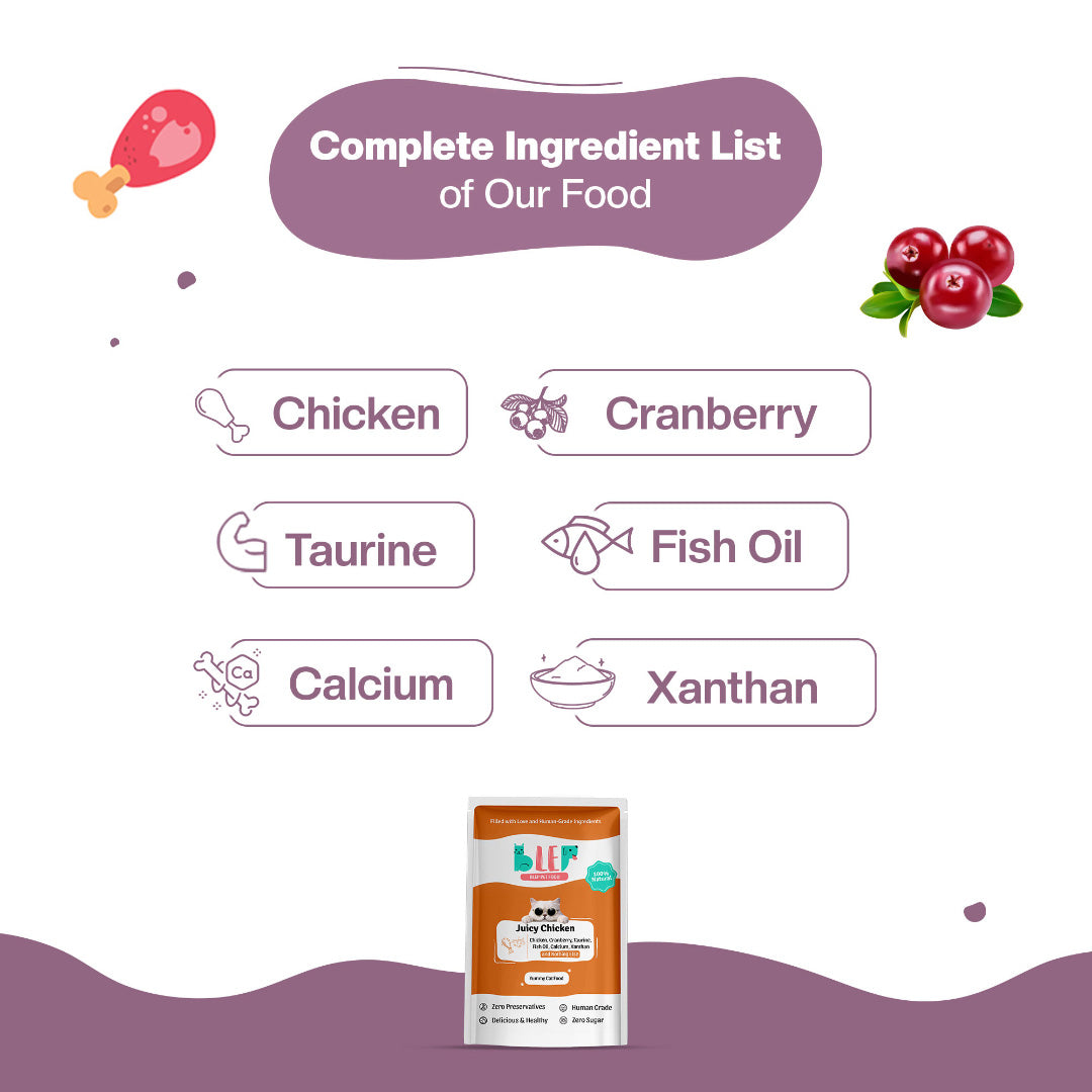 BLEP Juicy Chicken Cat Wet Food | 50g | 10 Pack
