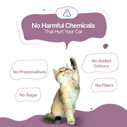 BLEP Juicy Chicken Cat Wet Food | 50g | 5 Pack