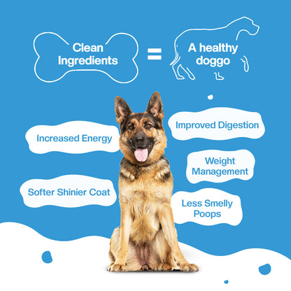 BLEP Lamb Blueberry Dog Wet Food Trial Pack | 100gm | 7 Pack