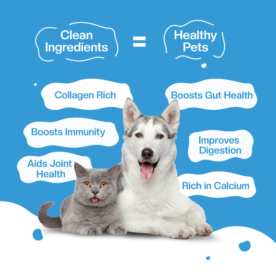 BLEP Lamb Broth for Cats & Dogs | 100ml | 5 Pack