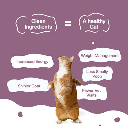 BLEP Mackerel Makarena Cat Wet Food |50g |10 Pack