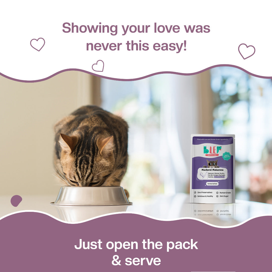 BLEP Mackerel Makarena Cat Wet Food |50g |10 Pack