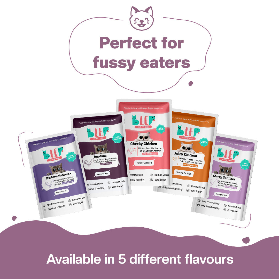 BLEP Mackerel Makarena Cat Wet Food | 50g |5 Pack