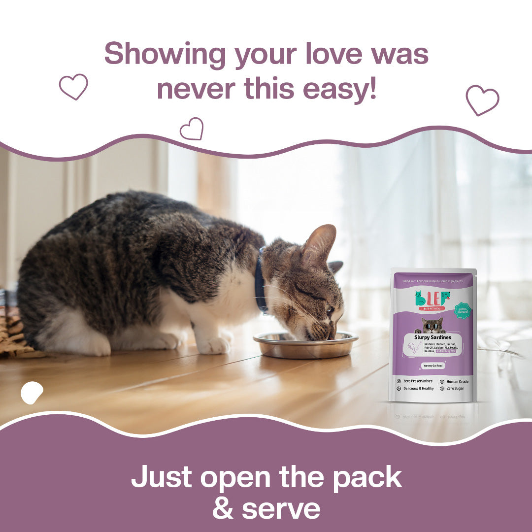 BLEP Slurpy Sardines Cat Wet Food Trial Pack  | 50 g | 10 Pack