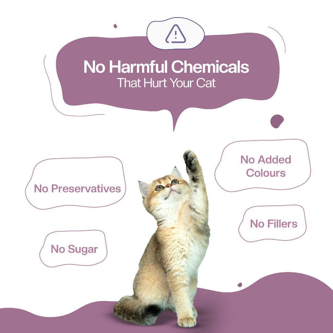 BLEP Tun-Tuna Cat Wet  Food Trial Pack| 50g | 10 Pack