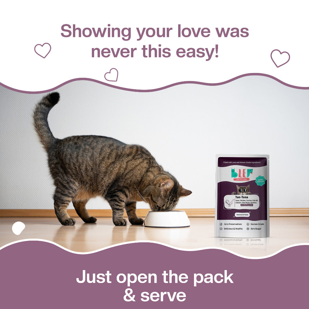 BLEP Tun-Tuna Cat Wet  Food Trial Pack| 50g | 10 Pack