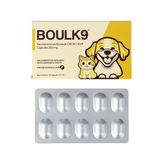 BOULK9 TABLET - Animeal