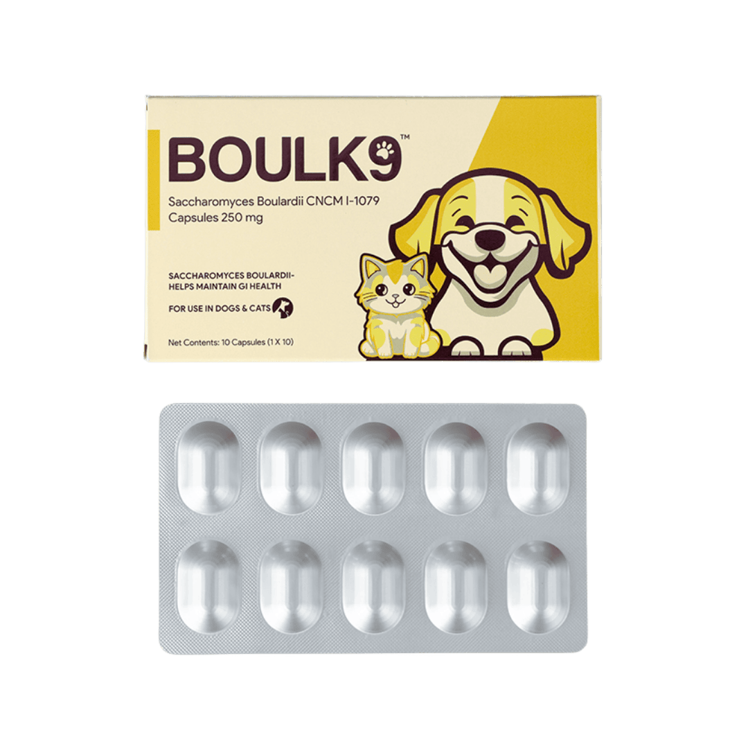 BOULK9 TABLET - Animeal