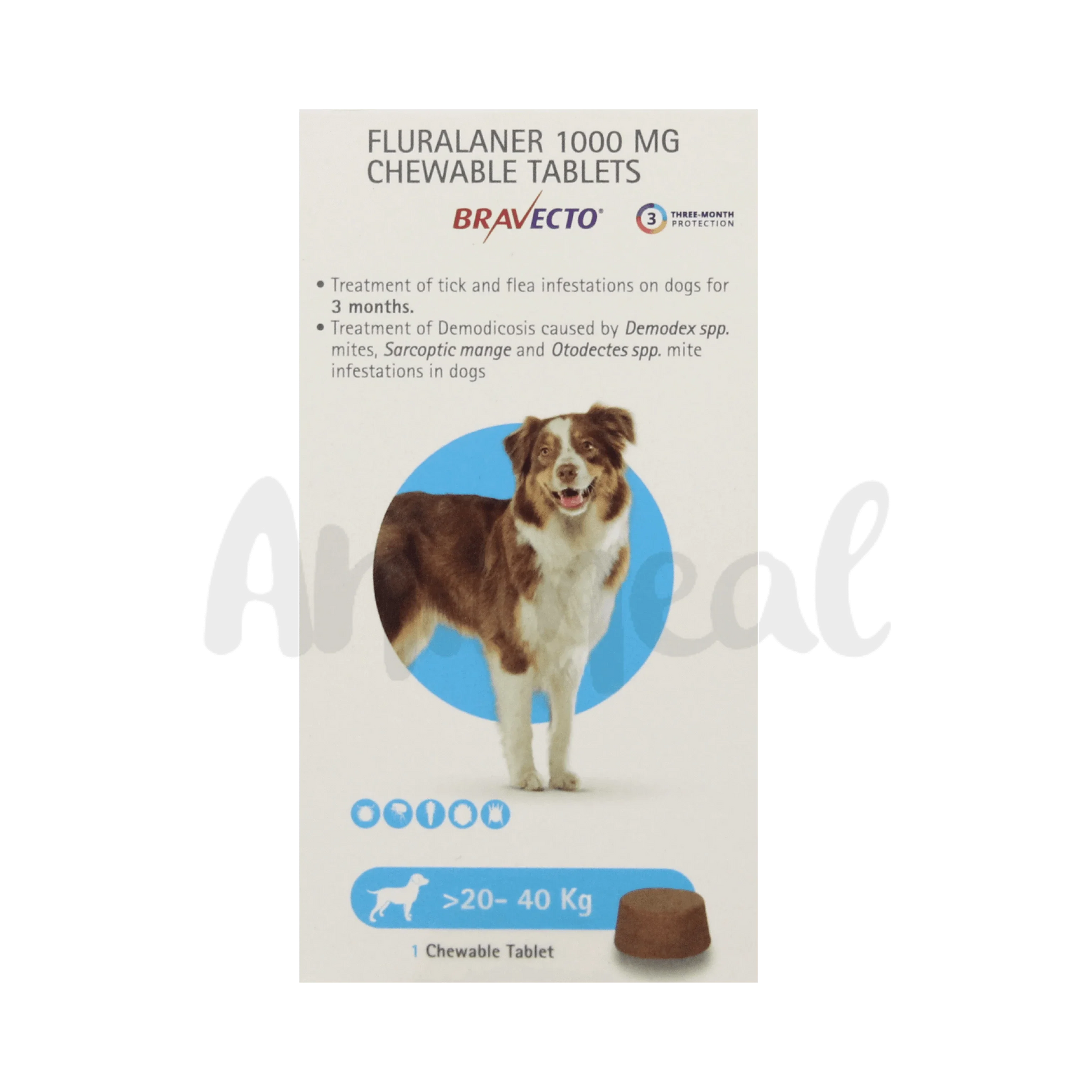 BRAVECTO (20-40KG) DOG TABLET - Animeal
