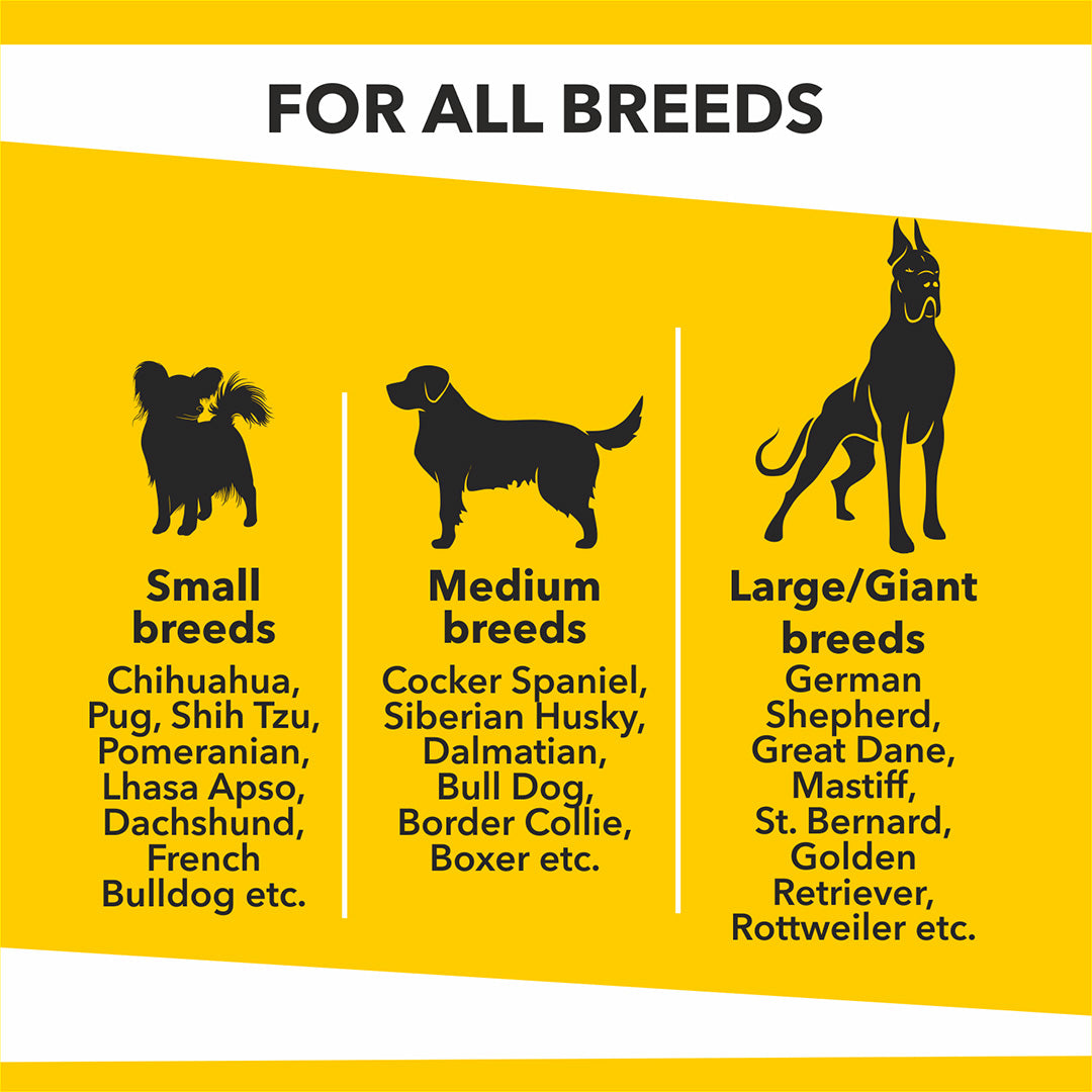 Baked Delights Chicken Flavour, Real Chicken Baked Cookies, Round Shaped- Dog Treats, 800 gm