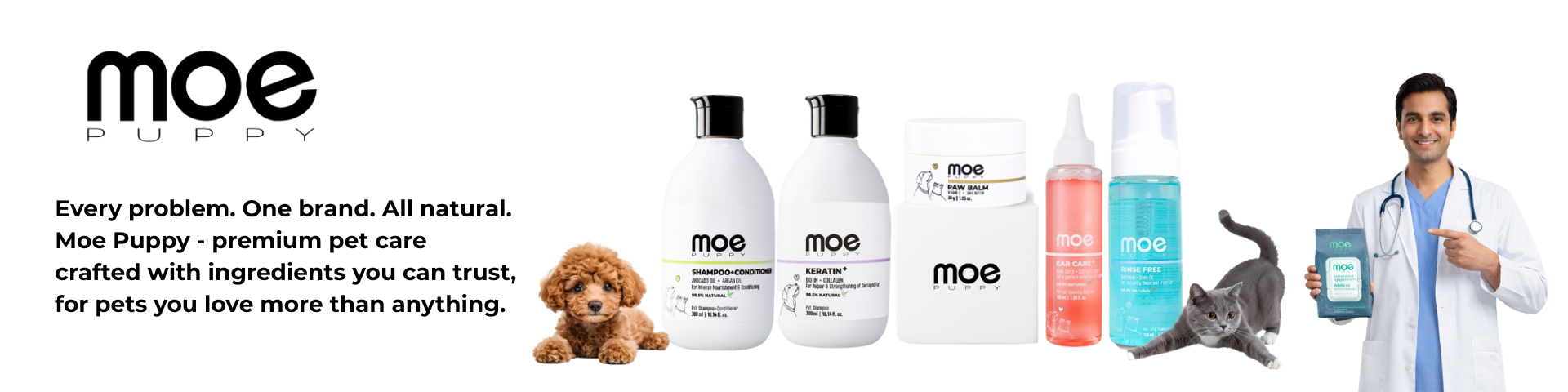 Moe Puppy