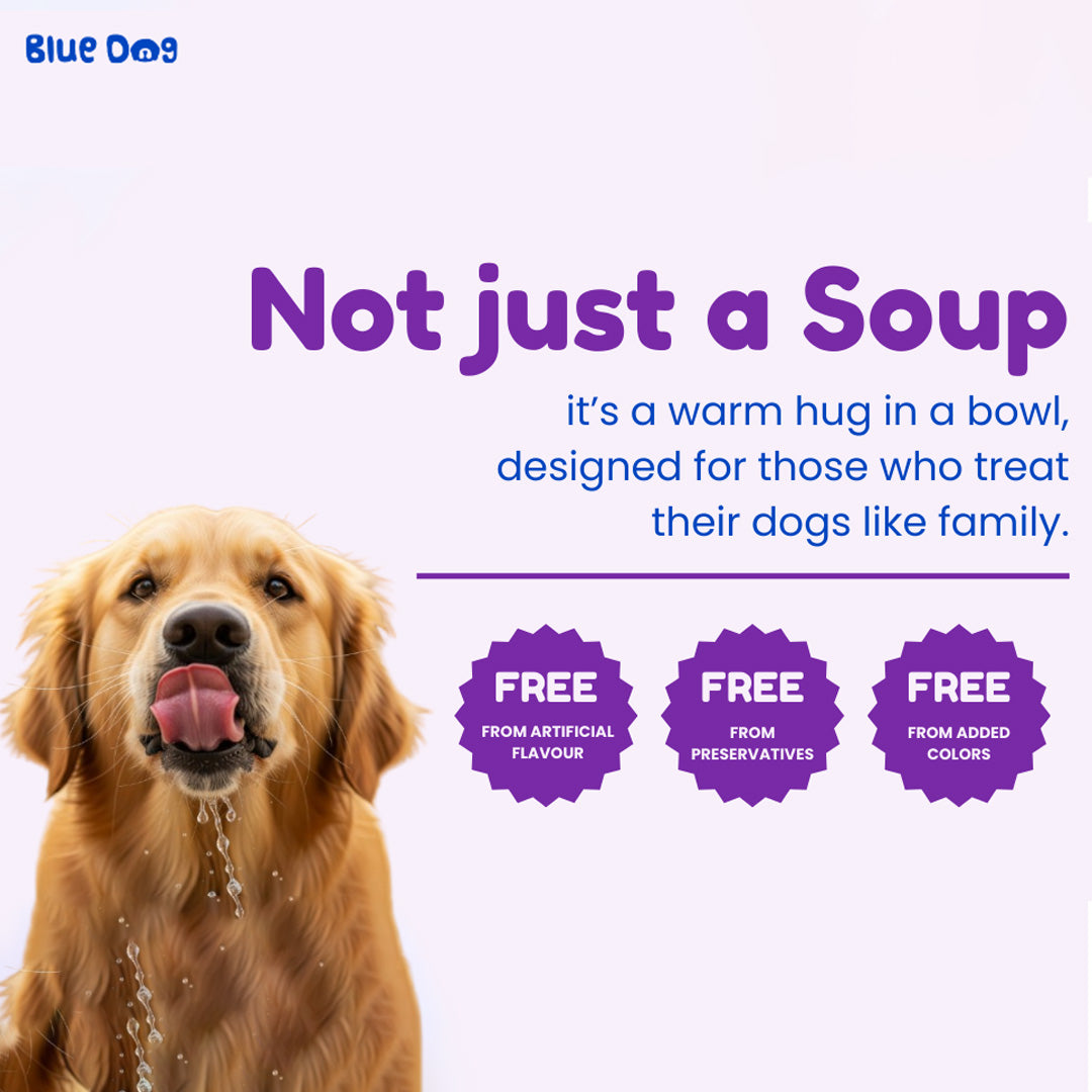 Bluedog Chicken Noodles Instant Soup
