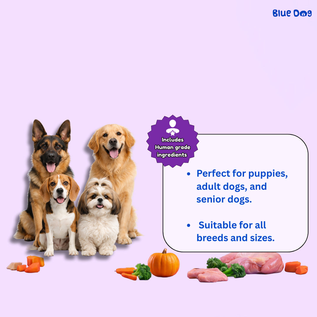 Bluedog Chicken Noodles Instant Soup