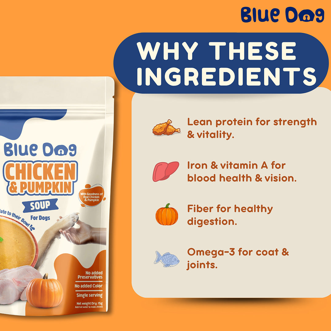 Bluedog Chicken & Pumpkin Instant Soup