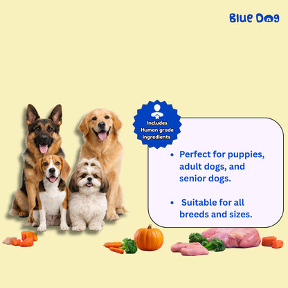 Bluedog Chicken & Pumpkin Instant Soup