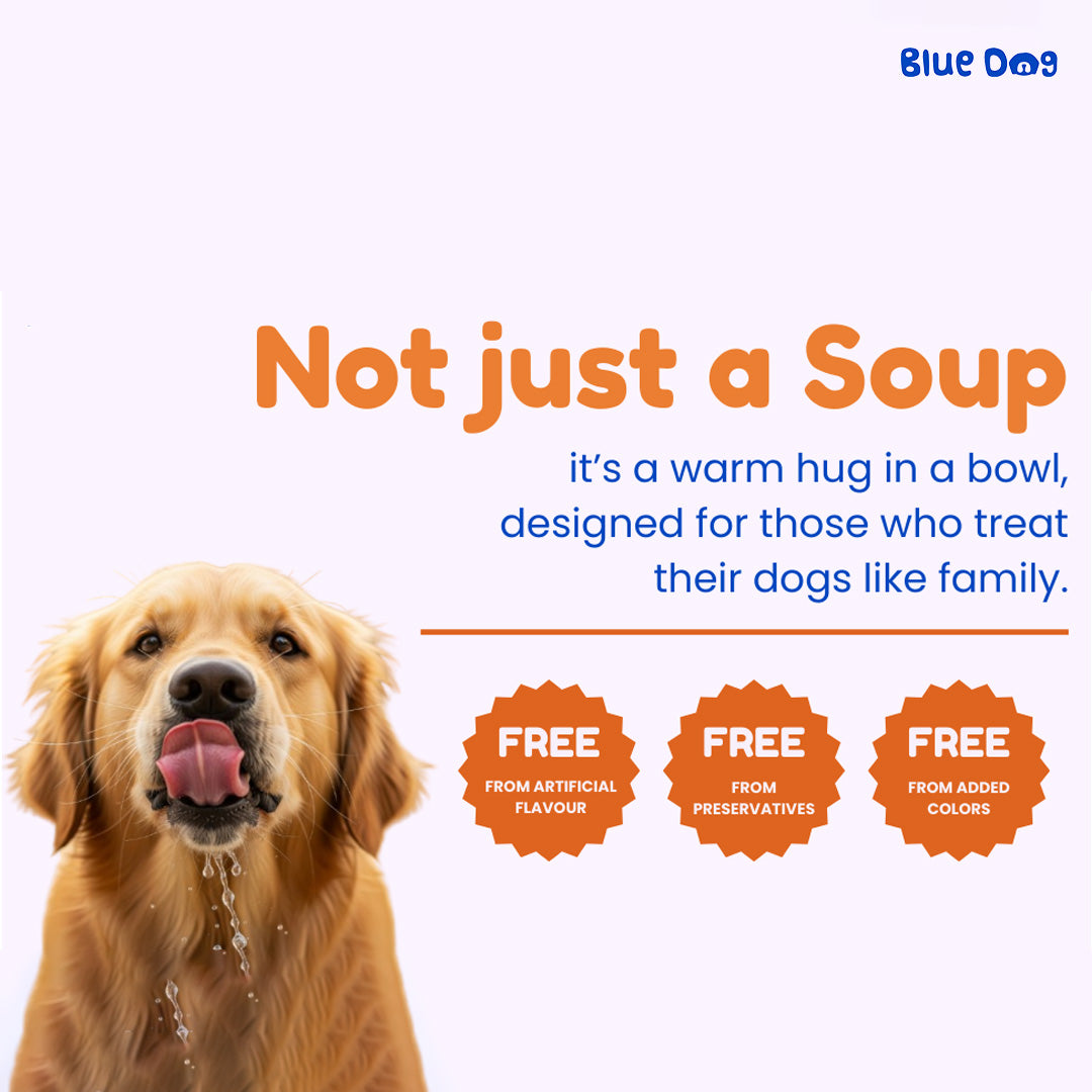 Bluedog Chicken & Vegetable Instant Soup