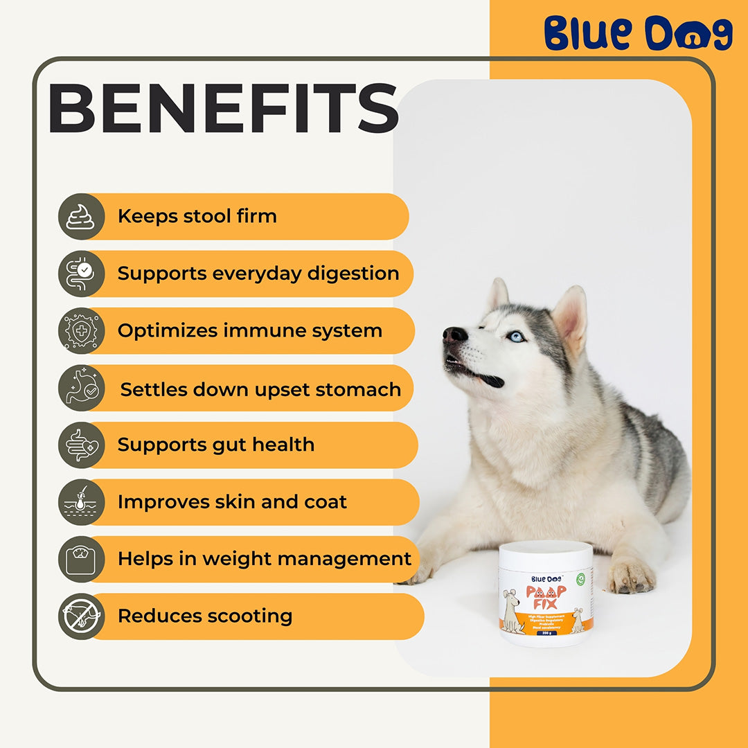 Bluedog Poopfix Prebiotic High Fiber Gut Health Supplement For Dogs
