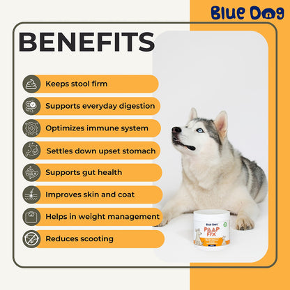 Bluedog Poopfix Prebiotic High Fiber Gut Health Supplement For Dogs