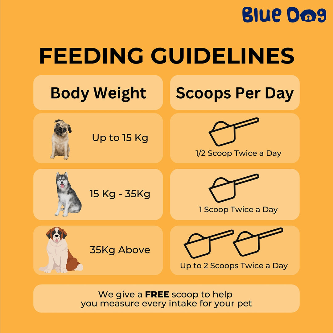 Bluedog Poopfix Prebiotic High Fiber Gut Health Supplement For Dogs