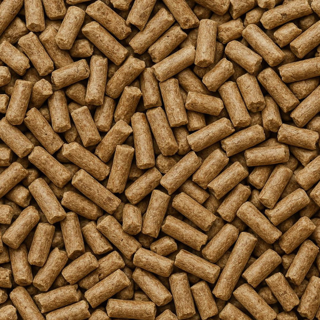 Bravo and Company Ecolit Cat litter