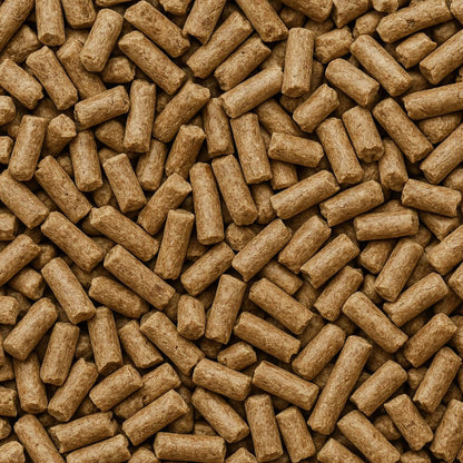 Bravo and Company Ecolit Cat litter
