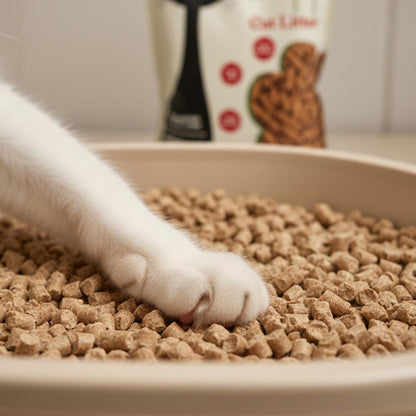 Bravo and Company Ecolit Cat litter