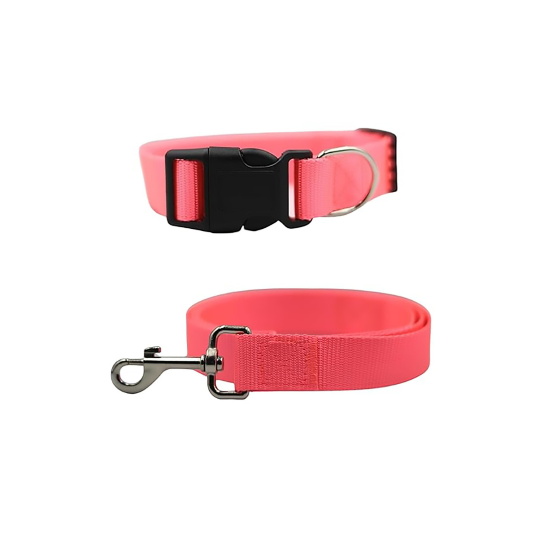 Bravo and Company Leash and Collar | Pink