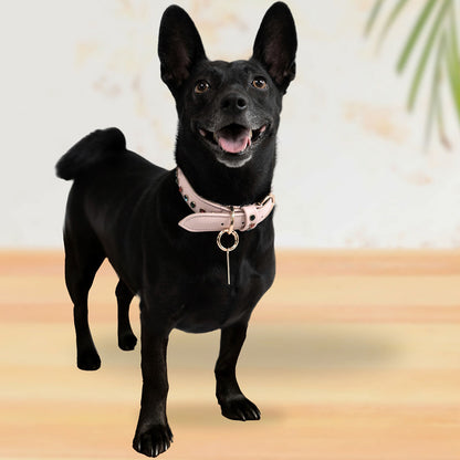 Bruni Boi Blush Pink Leather Dog Collar