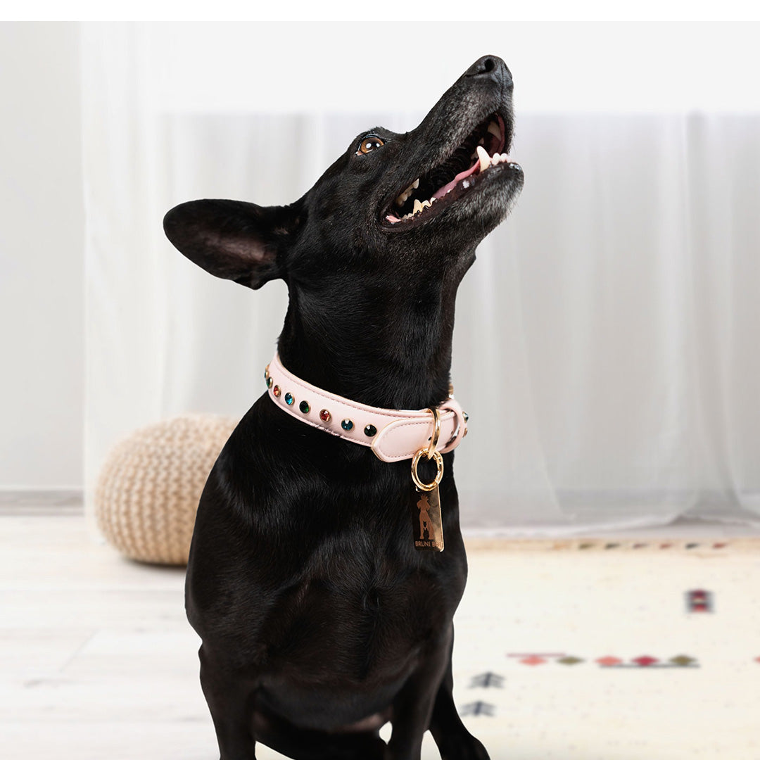 Bruni Boi Blush Pink Leather Dog Collar