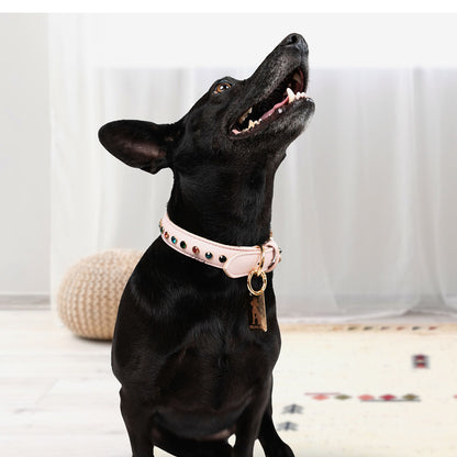 Bruni Boi Blush Pink Leather Dog Collar