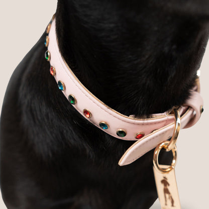 Bruni Boi Blush Pink Leather Dog Collar