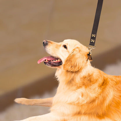 Bruni Boi City Boi Brown Leather Dog Leash