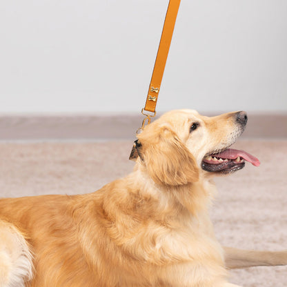 Bruni Boi City Boi Tan Leather Dog Leash