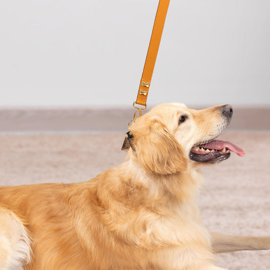 Bruni Boi City Boi Tan Leather Dog Leash