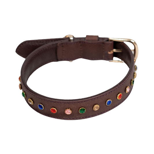 Bruni Boi Ember Dark Brown Leather Dog Collar