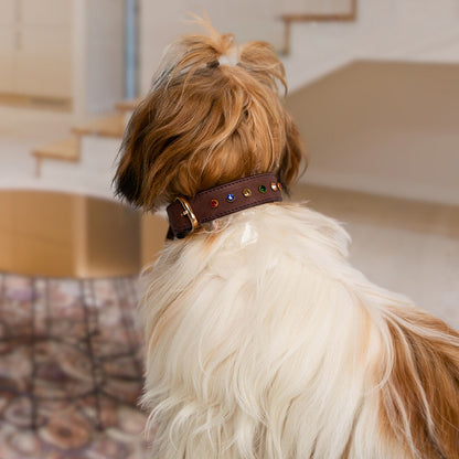 Bruni Boi Ember Dark Brown Leather Dog Collar