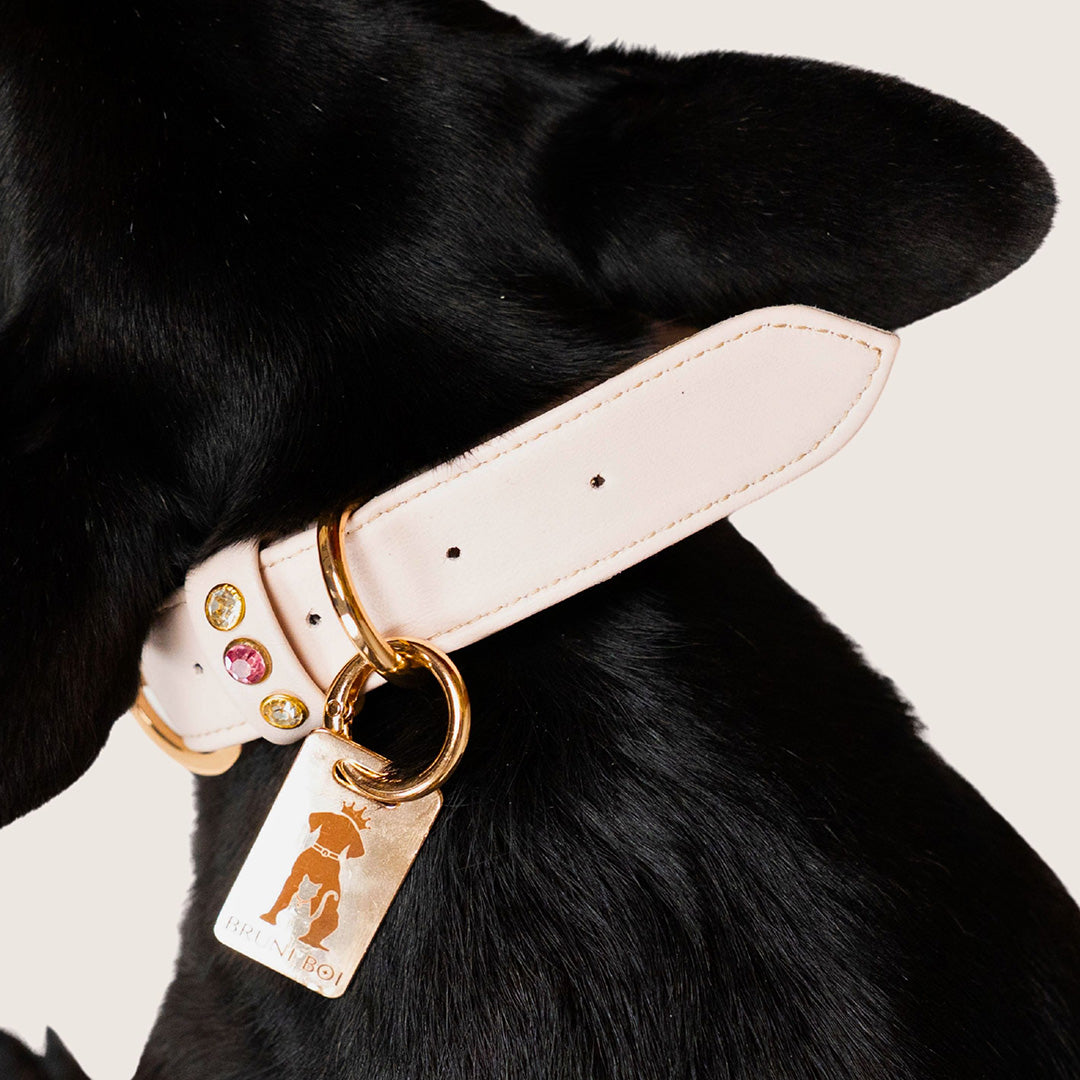 Bruni Boi Muse Nude Beige Leather Dog Collar
