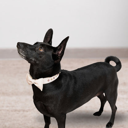 Bruni Boi Muse Nude Beige Leather Dog Collar